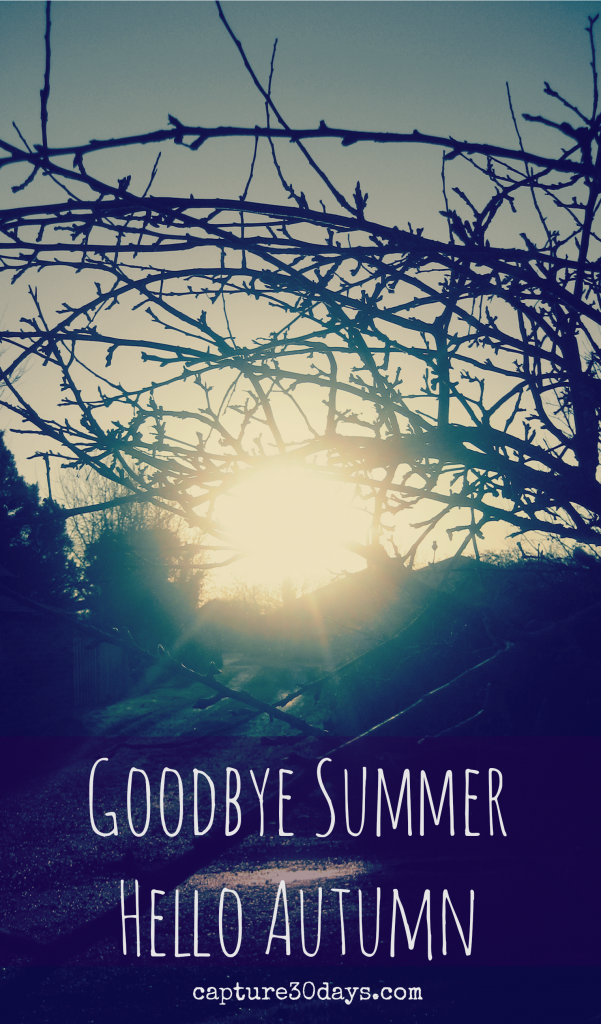 Goodbye Summer Hello Autumn