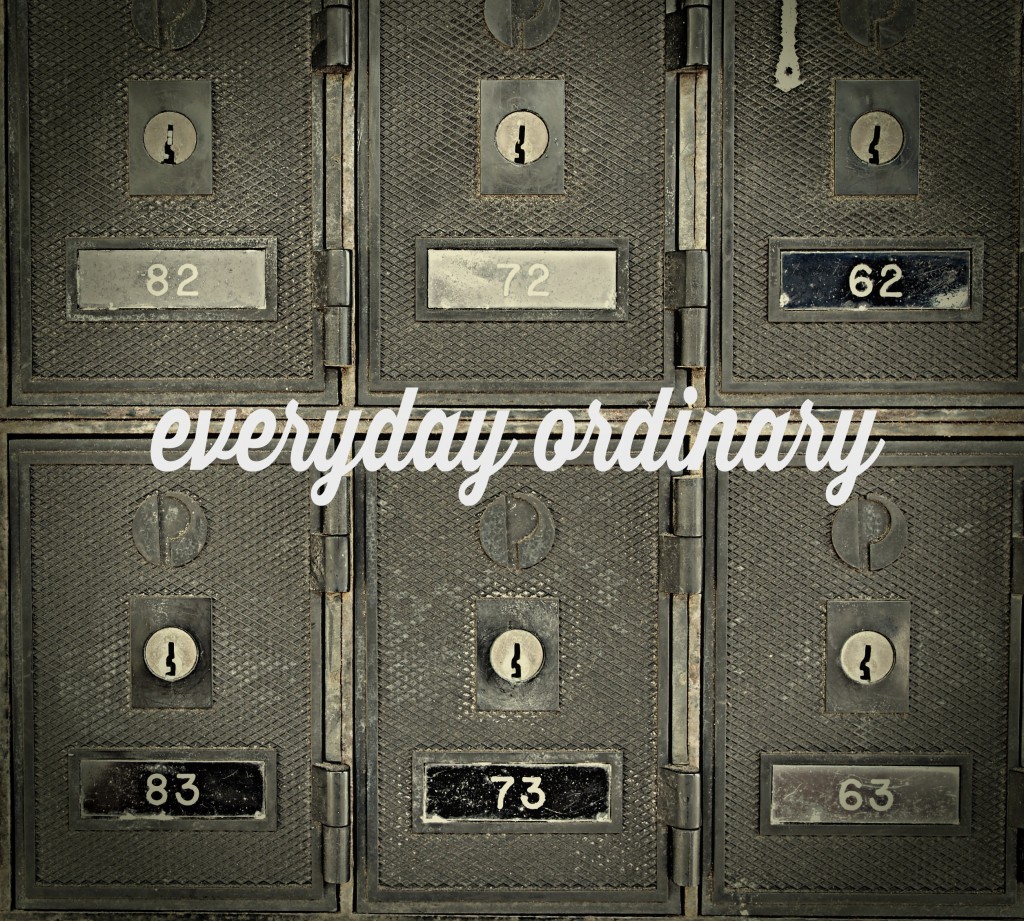 everyday ordinary