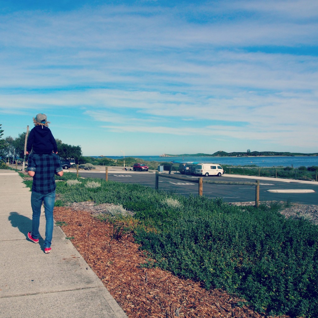 Shoalwater Island