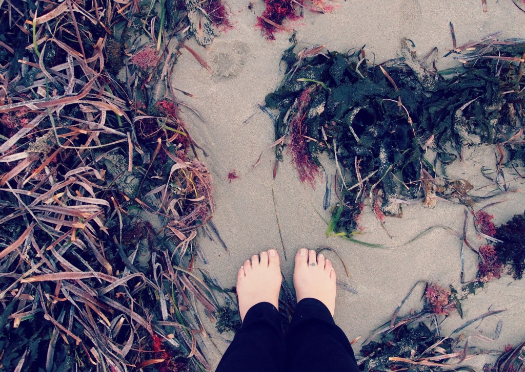 Beach, Seaweed.